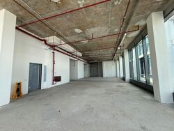 PS100 (D2), Retail #575694061